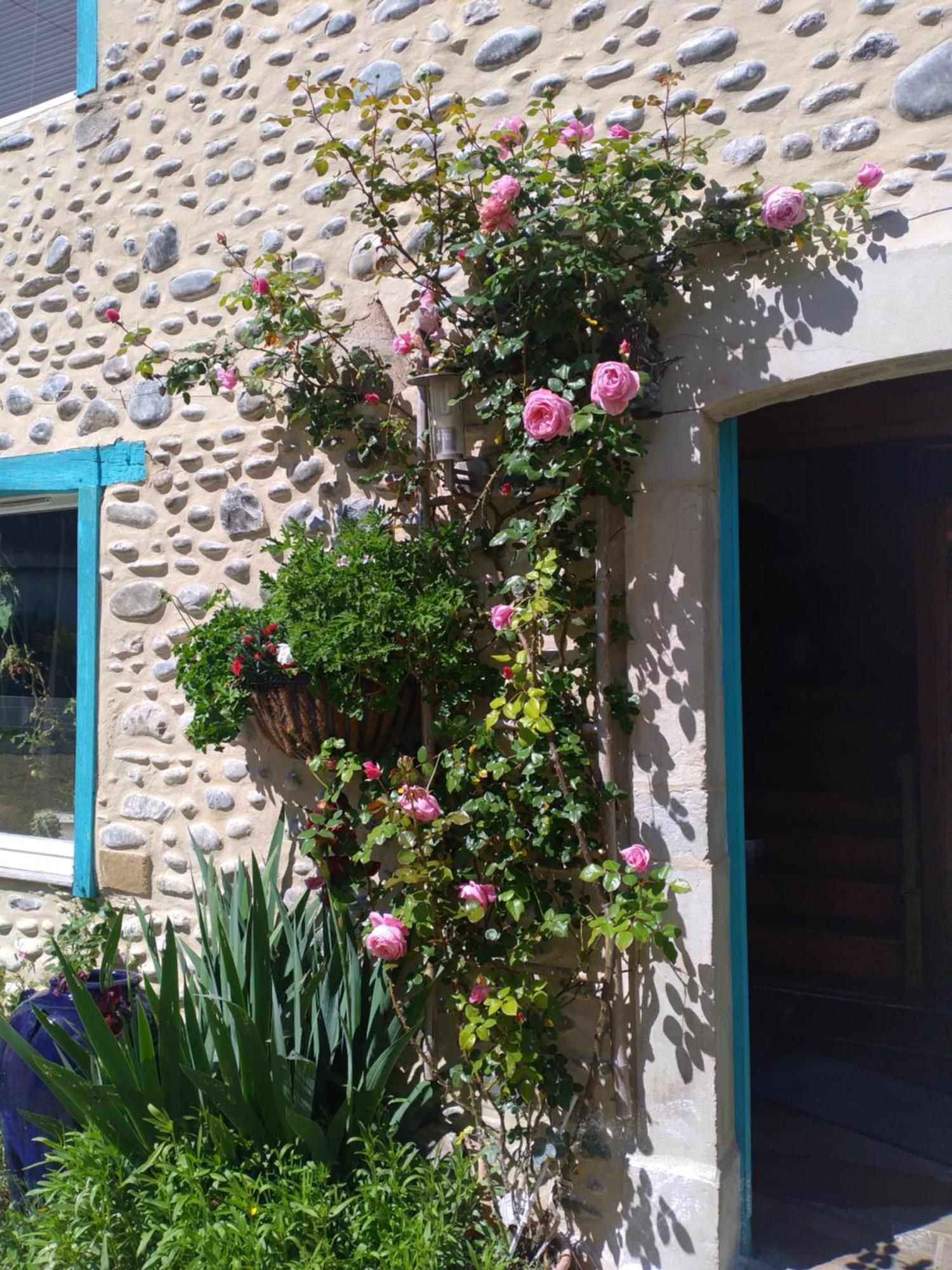 Maison Mignaquy Charritte-de-Bas Extérieur photo